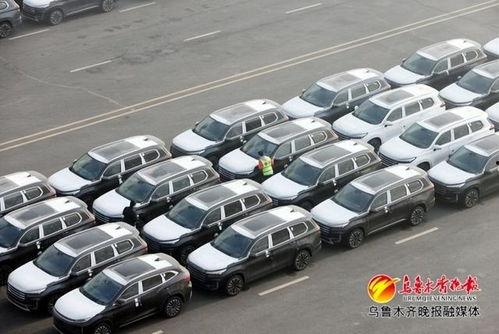 国产图片综合,捕捉时代光影,展现民族风采