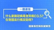 国内精品产品一三三区